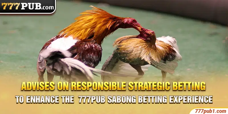 Advises on responsible strategic betting to enhance the 777pub Sabong betting experience