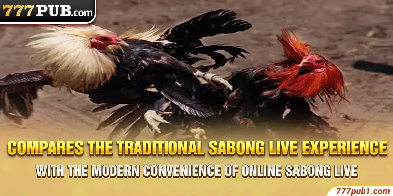 Compares the traditional Sabong Live experience with the modern convenience of Online Sabong Live