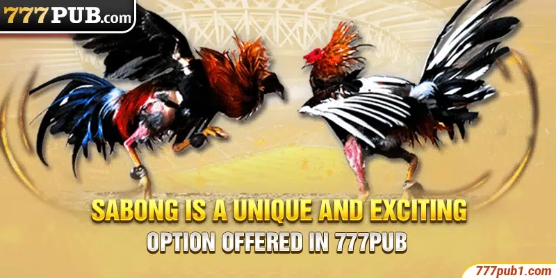Sabong is a unique and exciting betting option offered in 777pub