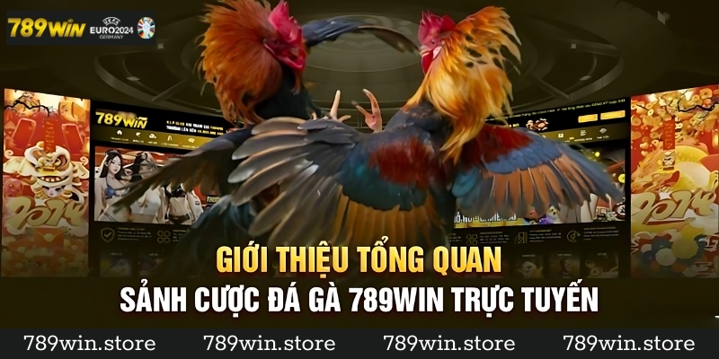 Learn more about the attractive cockfighting hall